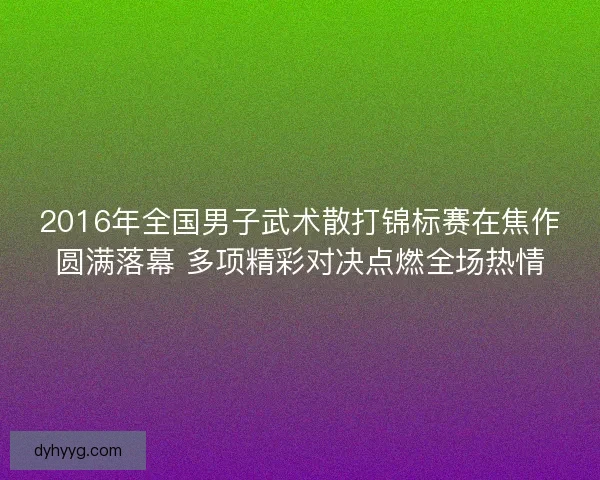 2016年全国男子武术散打锦标赛在焦作圆满落幕 多项精彩对决点燃全场热情